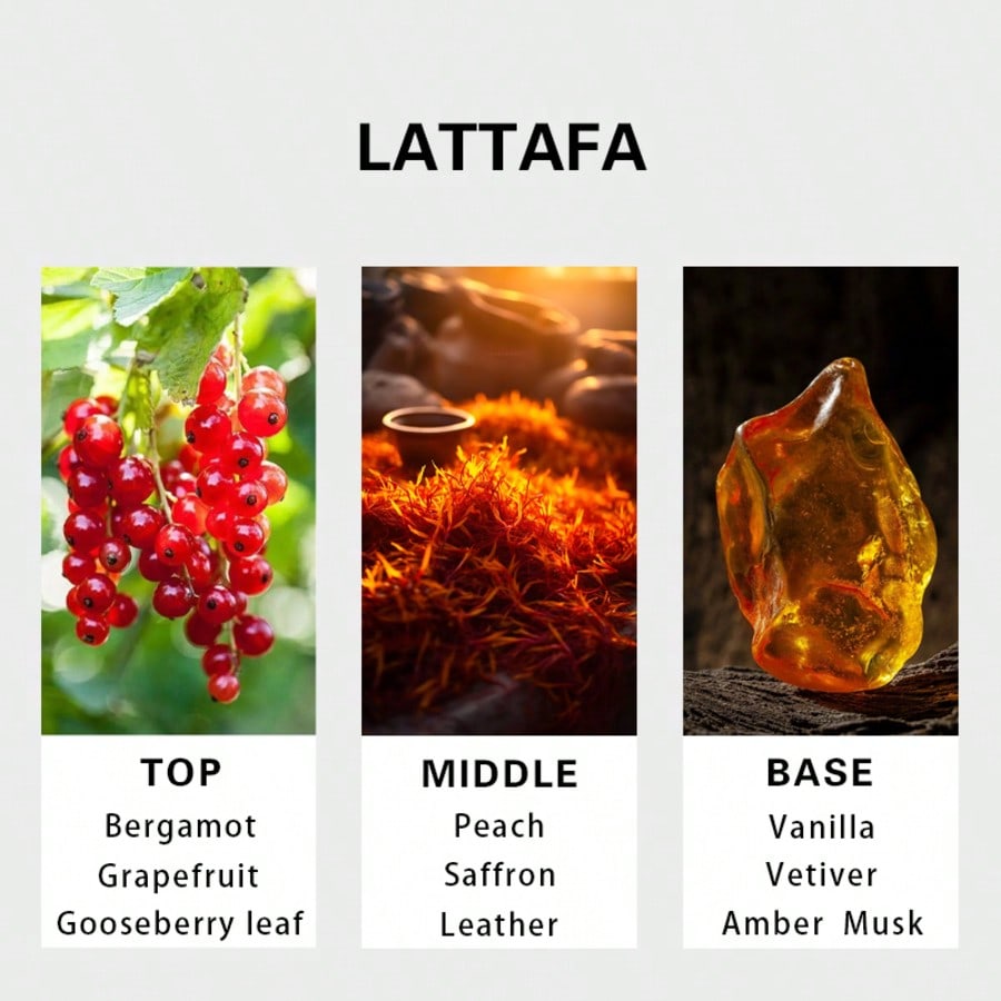 Hayaati Gold Elixir น้ำหอมสำหร - You Perfume Fragrance บทวิจารณ์และราคา