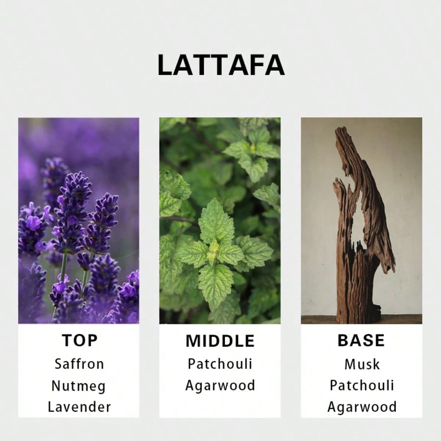 Lattafa Badee Al Oud For Glory - Fragrance Perfume For Man บทวิจารณ์และราคา