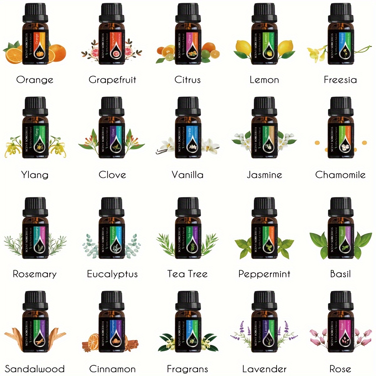ชุดน้ำมันหอมระเหยคลาสสิกสีดำ 2 - Perfume Fragrance Essence บทวิจารณ์และราคา